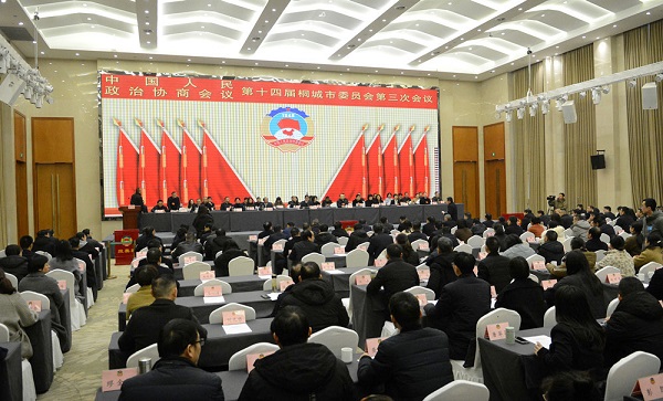 市政协十四届三次会议举行第二次全体会议