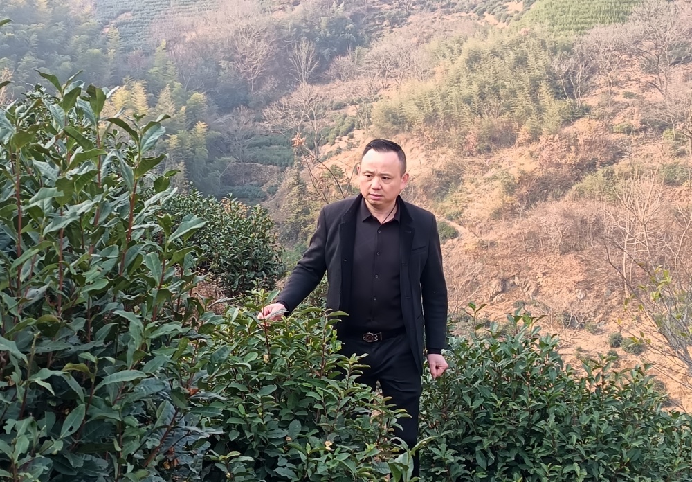 微信图片_20241226092601.jpg