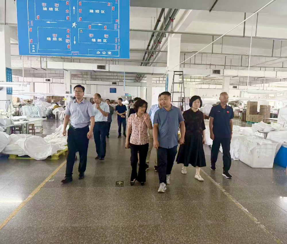 安庆市政协调研组来桐开展专题调研