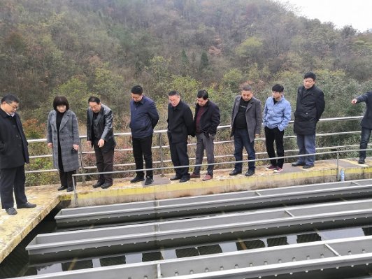 桐城市政协开展农村饮水安全专题调研活动